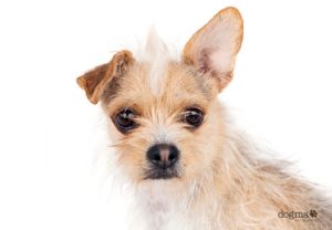 1D09CED8-7A72-48E3-877F-427AA87A1225 3