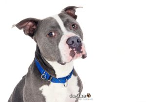 45EB2902-1490-41F2-BE14-F88857C422B2 3