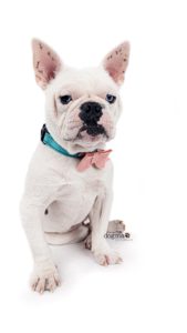 8DF8BFFC-D0A0-4558-BEB6-2692FE48AAA4 3