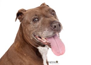 90882230-986E-4BBB-A1C6-72EDFA7ED8BF 4