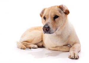 96DE6D45-A0A7-47AC-A55B-D29BF5A9A25B 4