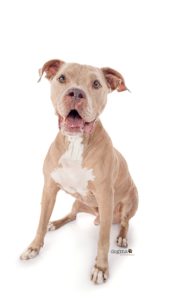 C539E142-E0E3-4887-A4AA-B5ADBE5EDF59 3