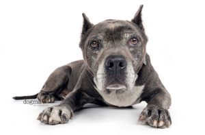 D4DE20C4-08F8-4B87-90FD-B997F19C5C72 3