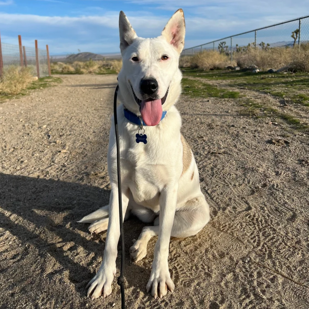 Suki sitting outdoors during the Diesel Project program.