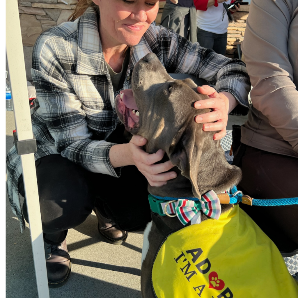 K9 Kismet dog Popcorn with a volunteer at an event